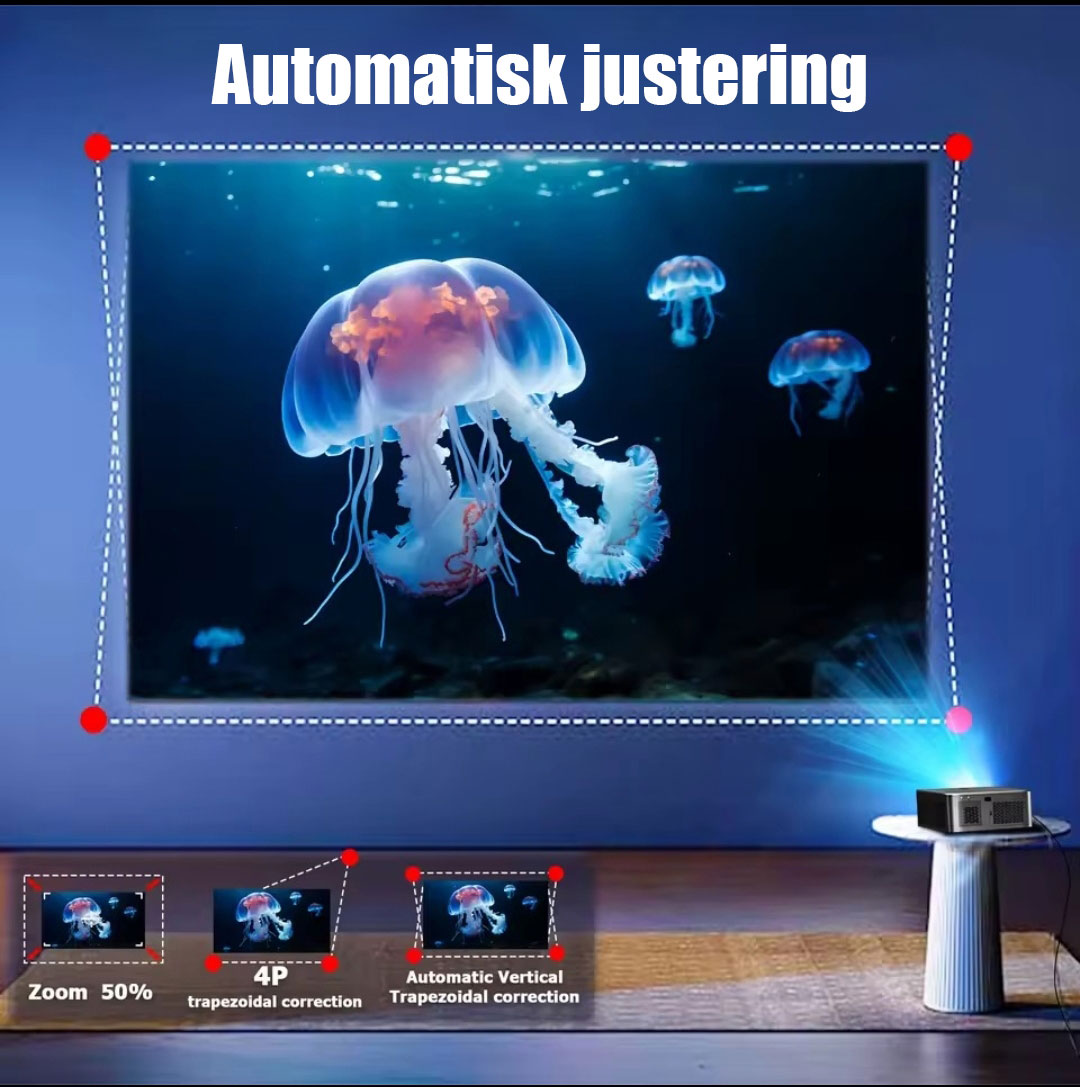 Hyra projektor i Göteborg - Bild 5